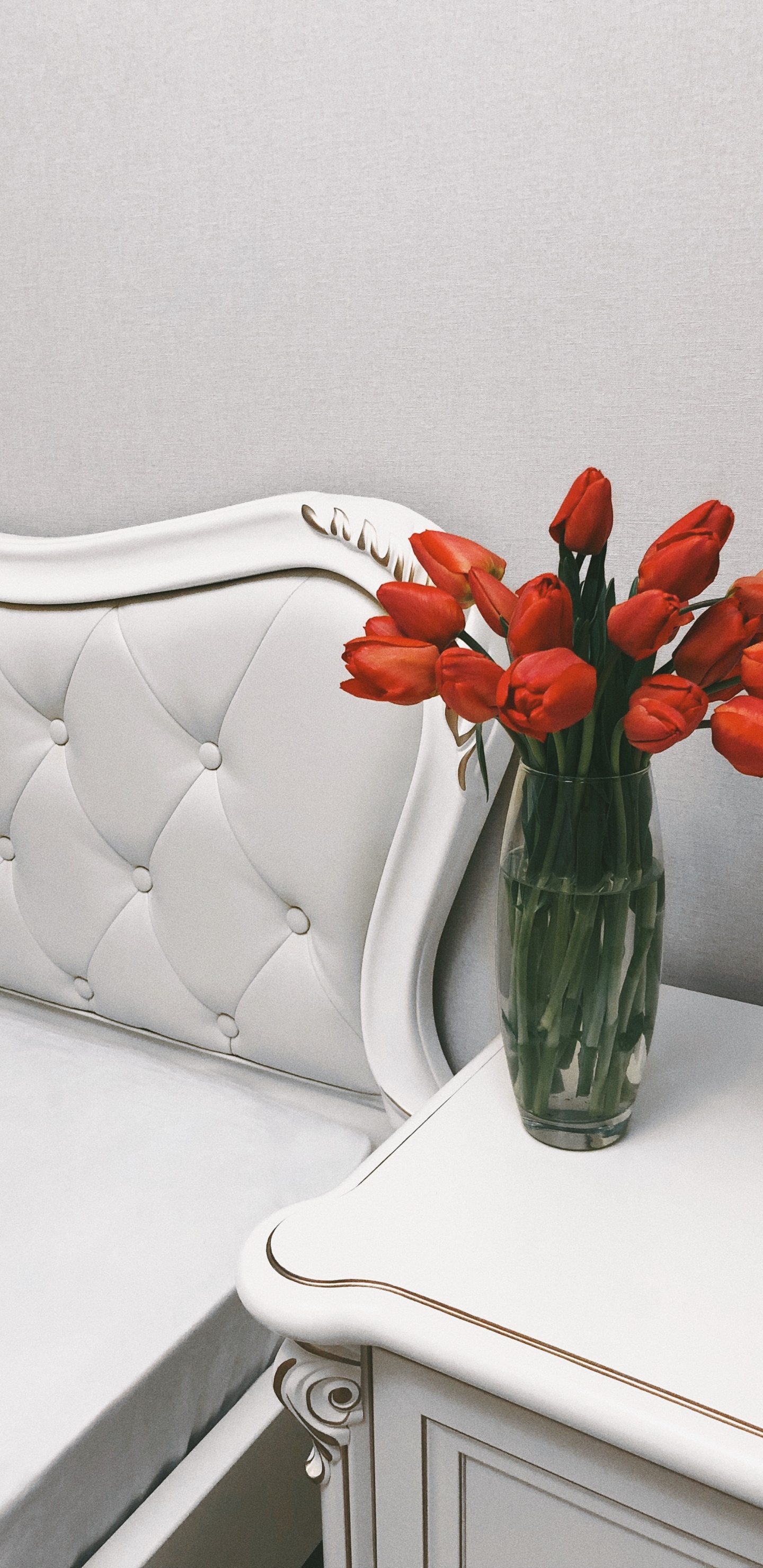 花盆, 花卉设计, 切花, 人造花, 显花植物 壁纸 1440x2960 允许