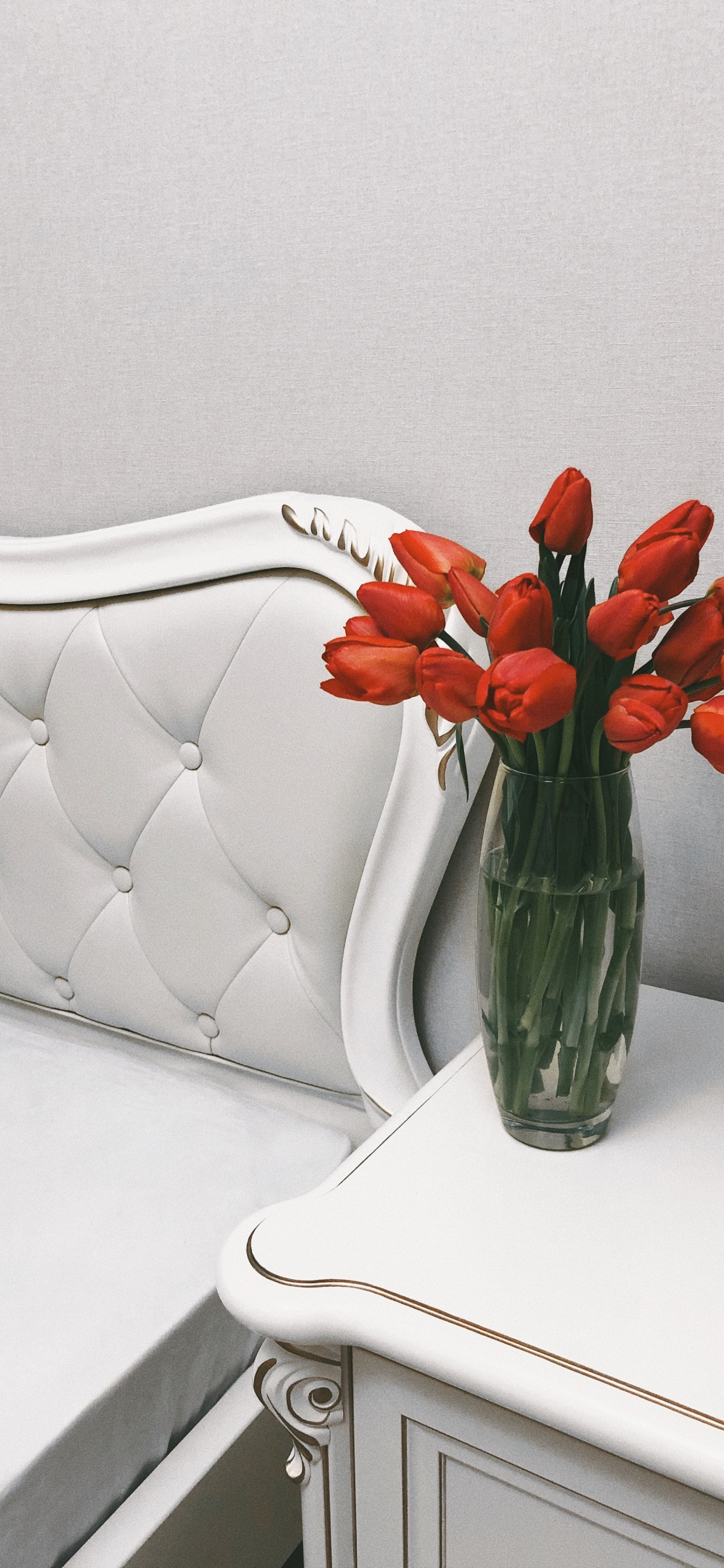 Maceta, Diseño Floral, Las Flores Cortadas, Flores Artificiales, Pétalo. Wallpaper in 1242x2688 Resolution