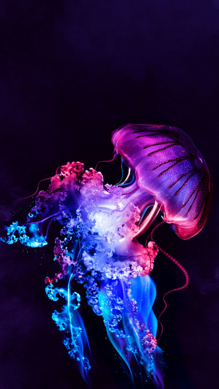 水母, 性质, 液体 壁纸 750x1334 允许