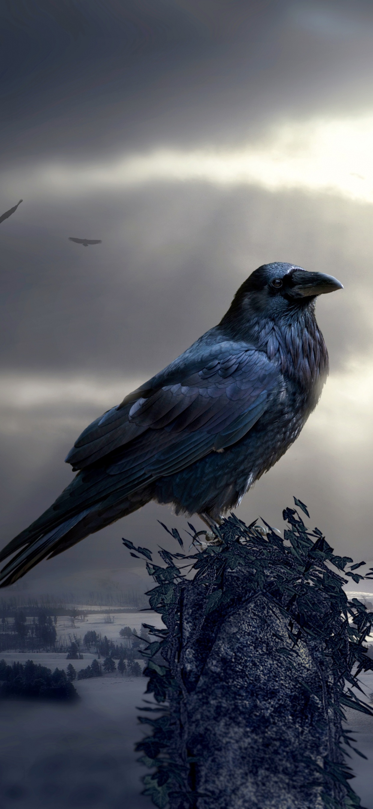 Graue Betonstatue Unter Bewölktem Himmel. Wallpaper in 1242x2688 Resolution