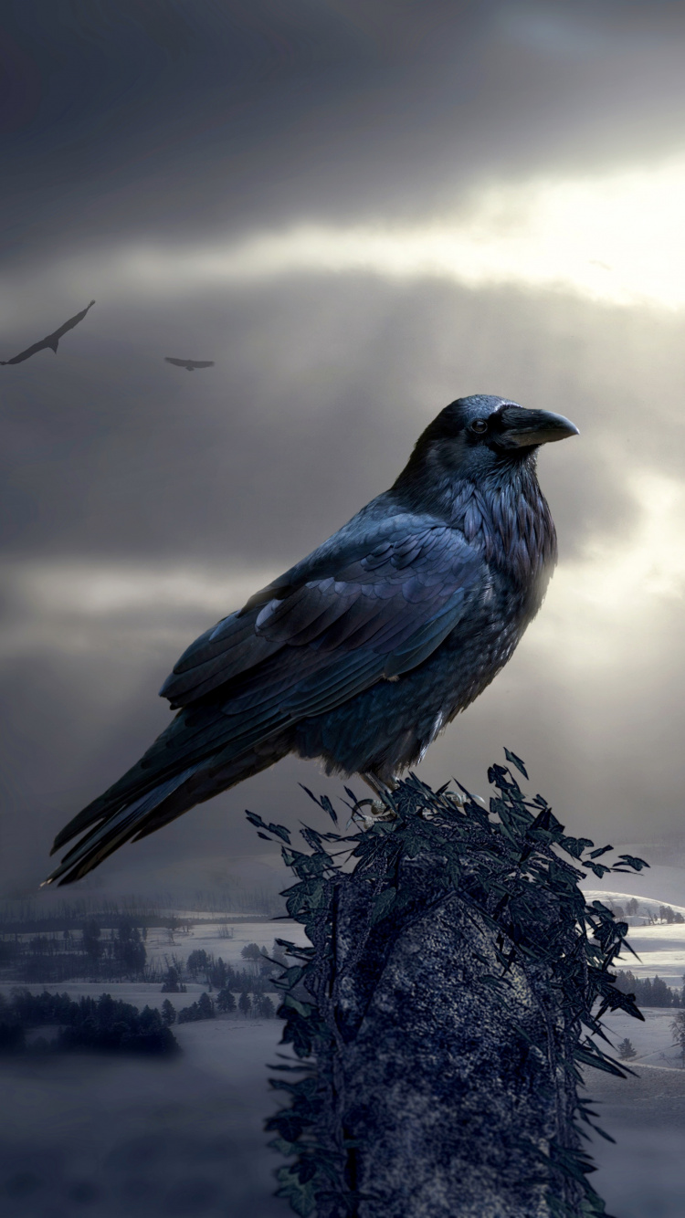 Graue Betonstatue Unter Bewölktem Himmel. Wallpaper in 750x1334 Resolution