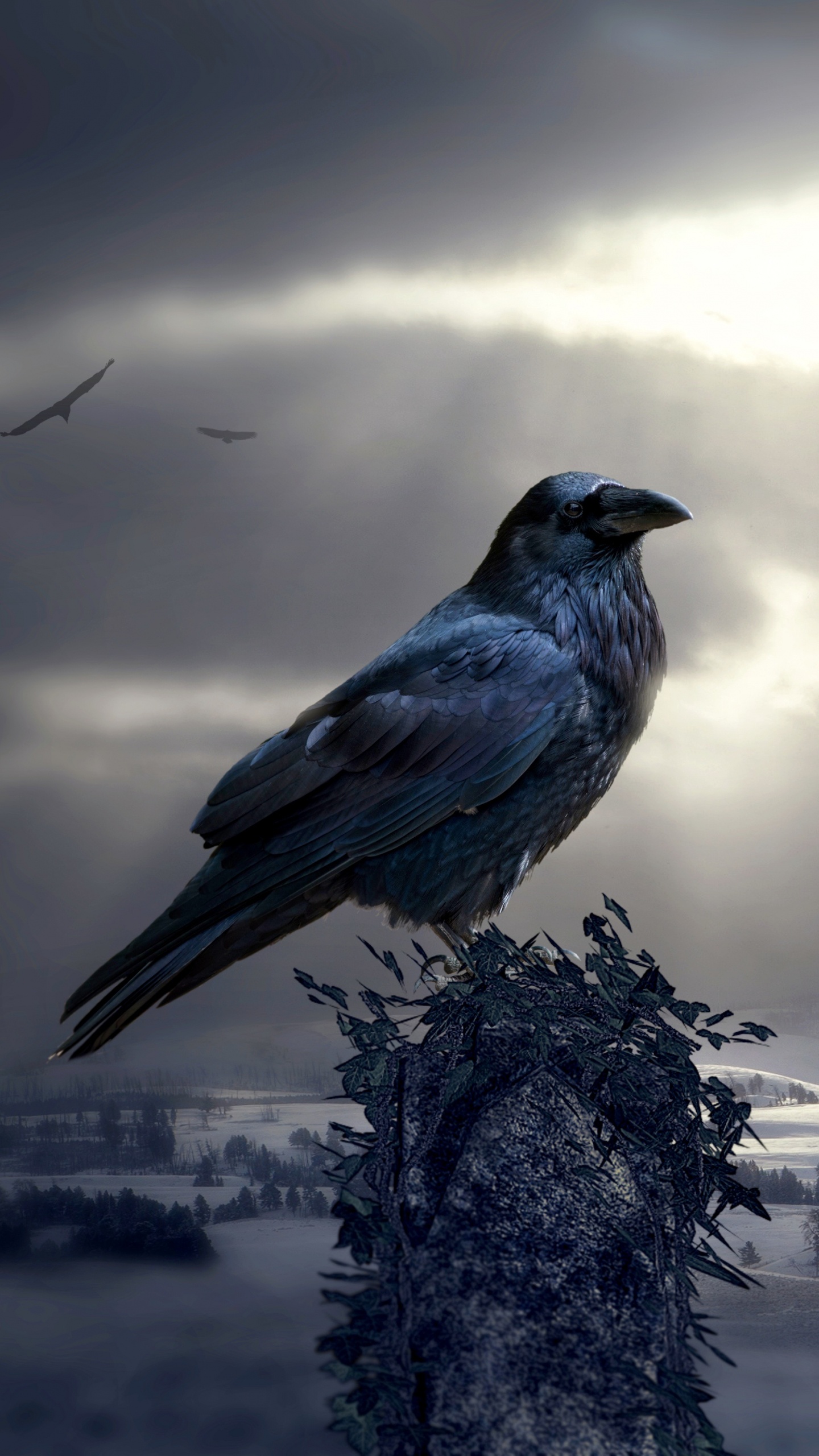 Statue en Béton Gris Sous Ciel Nuageux. Wallpaper in 1440x2560 Resolution