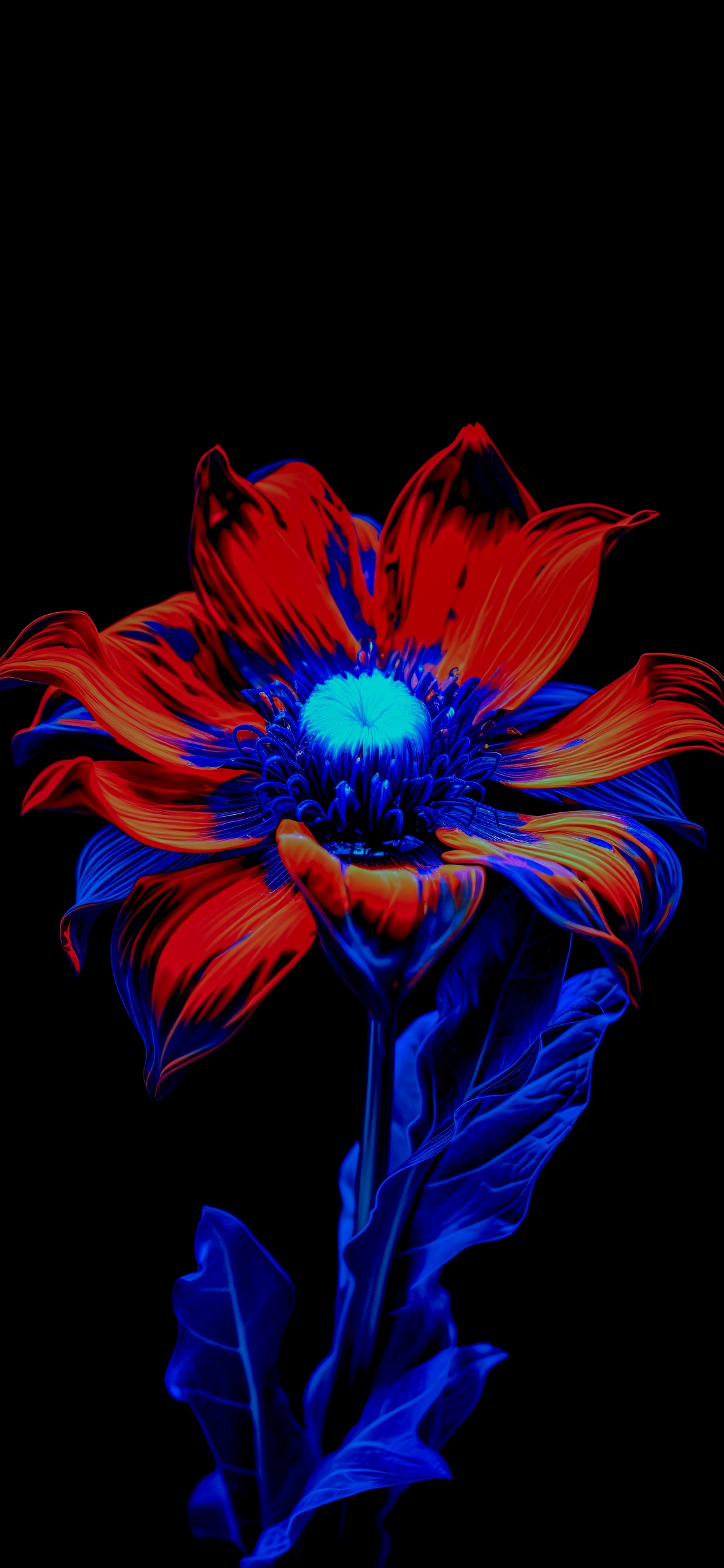 la Floración de la Planta, Pétalo, Morado, Violeta, Arte. Wallpaper in 1125x2436 Resolution