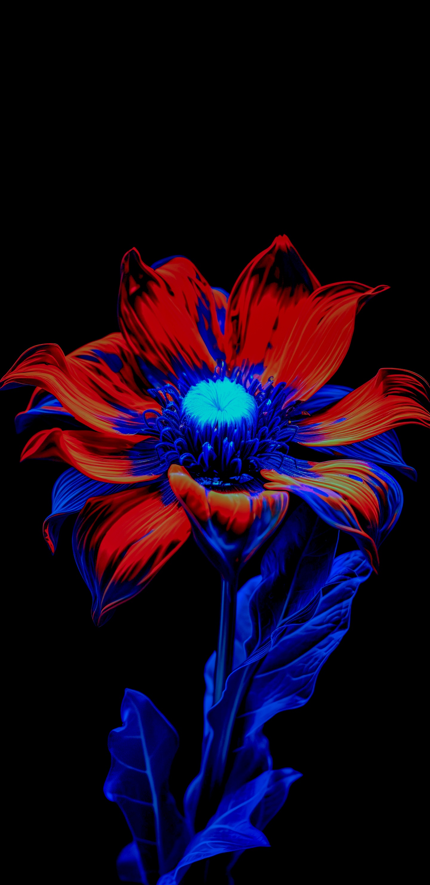 la Floraison de la Plante, Pétale, Purple, Violette, Art. Wallpaper in 1440x2960 Resolution