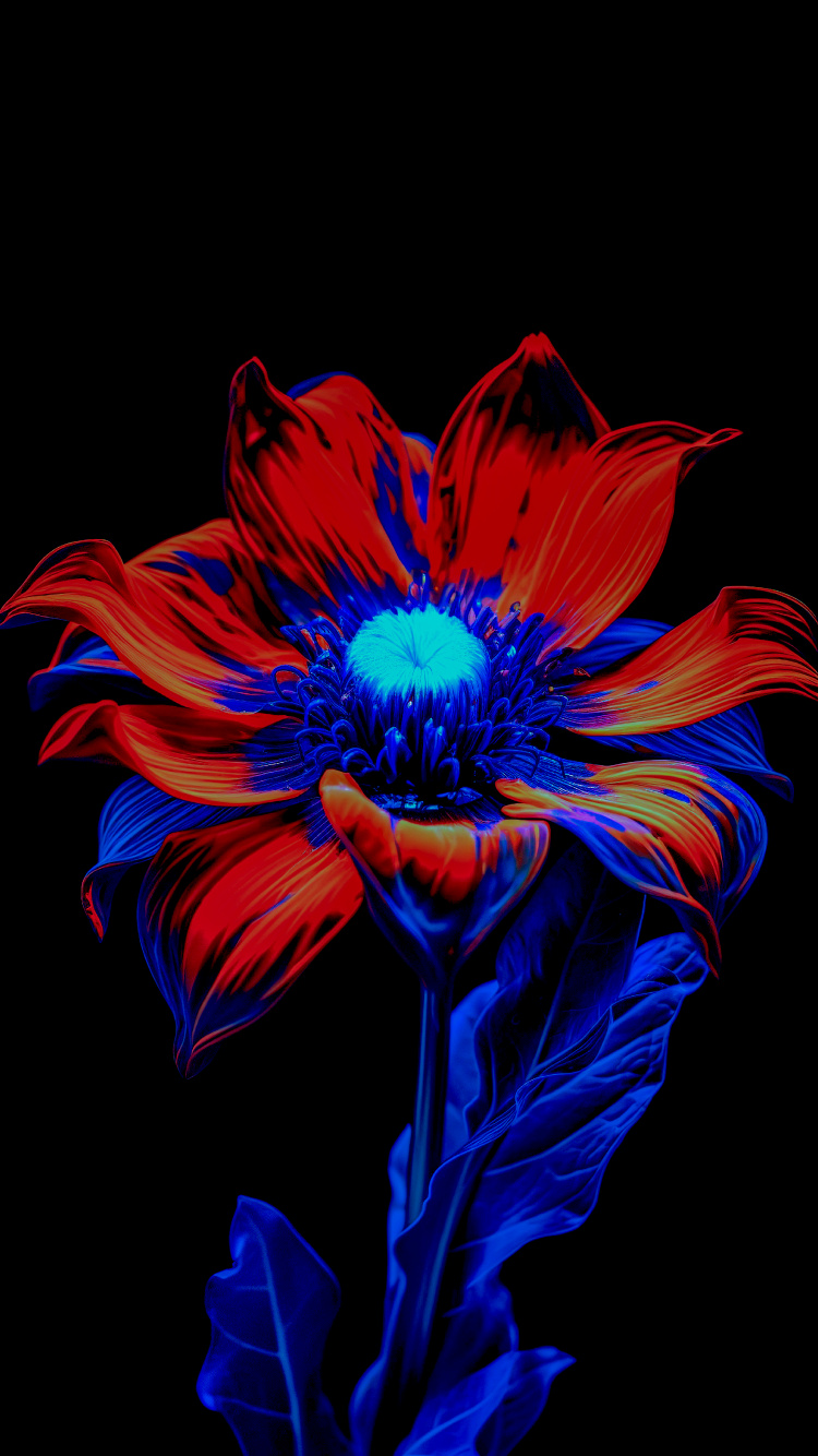 la Floraison de la Plante, Pétale, Purple, Violette, Art. Wallpaper in 750x1334 Resolution