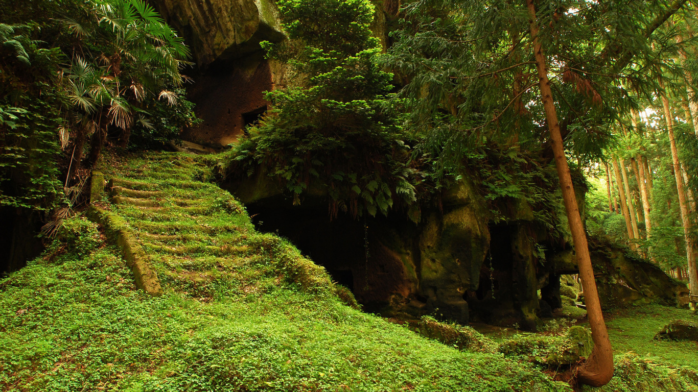 Green Grass and Brown Rock Formation. Wallpaper in 1366x768 Resolution