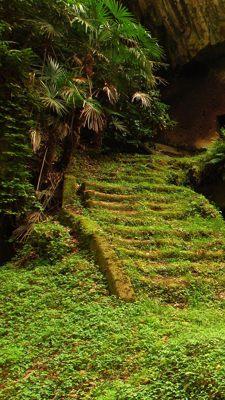 Pasto Verde y Formación Rocosa Marrón. Wallpaper in 750x1334 Resolution