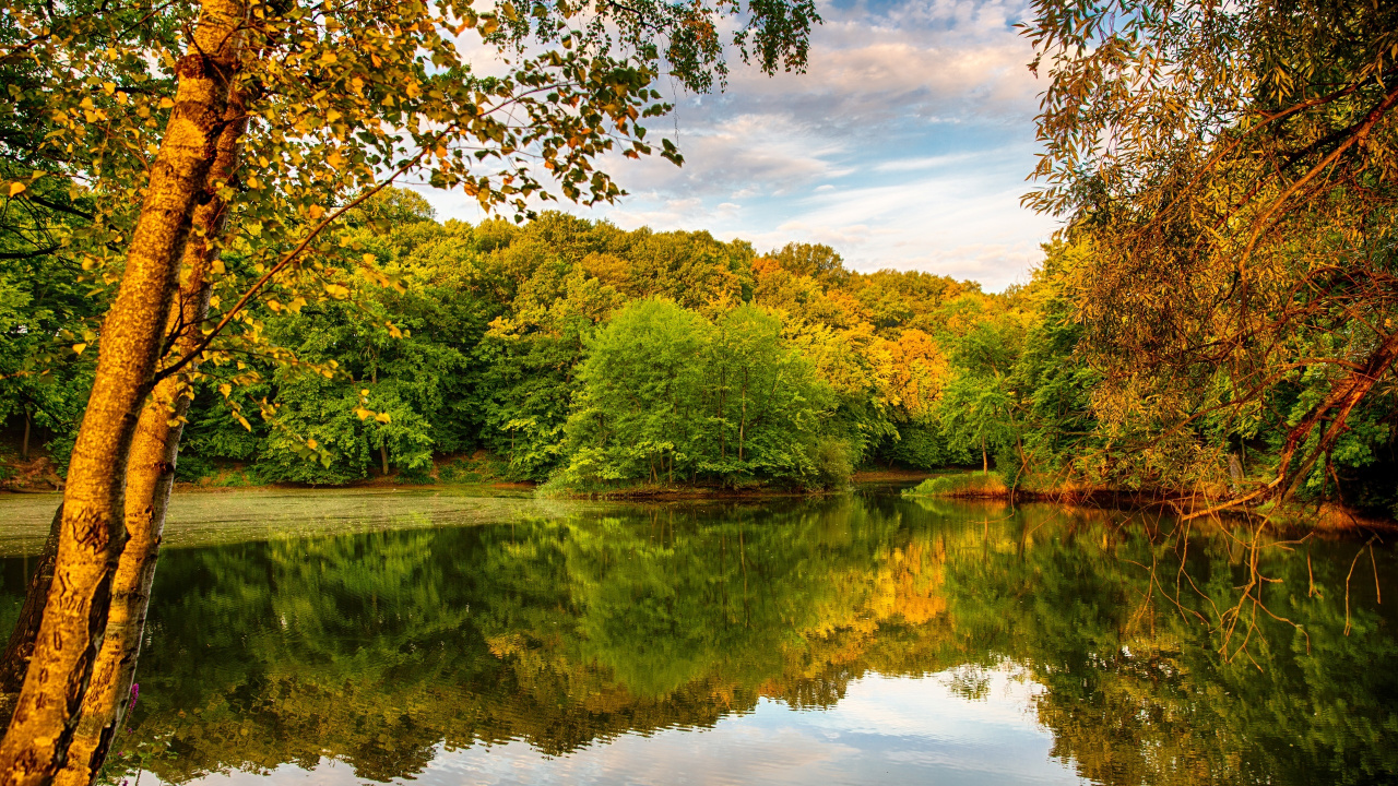 Green Trees Beside River Under Blue Sky During Daytime. Wallpaper in 1280x720 Resolution