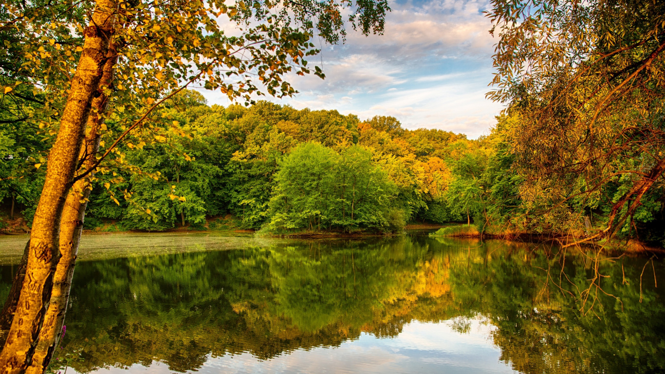 Grüne Bäume Neben Dem Fluss Unter Blauem Himmel Tagsüber. Wallpaper in 1366x768 Resolution