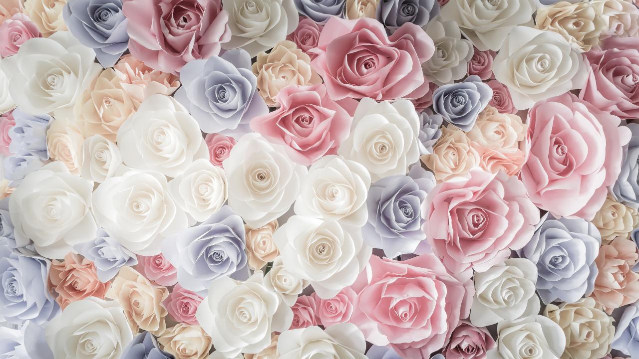 Ramo de Rosas Blancas Rosadas y Azules. Wallpaper in 1280x720 Resolution