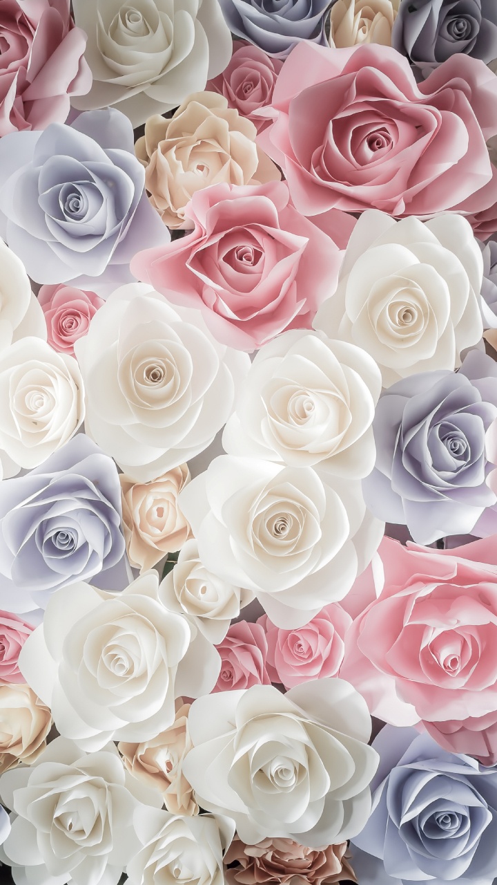 Weißer Rosa Und Blauer Rosenstrauß. Wallpaper in 720x1280 Resolution