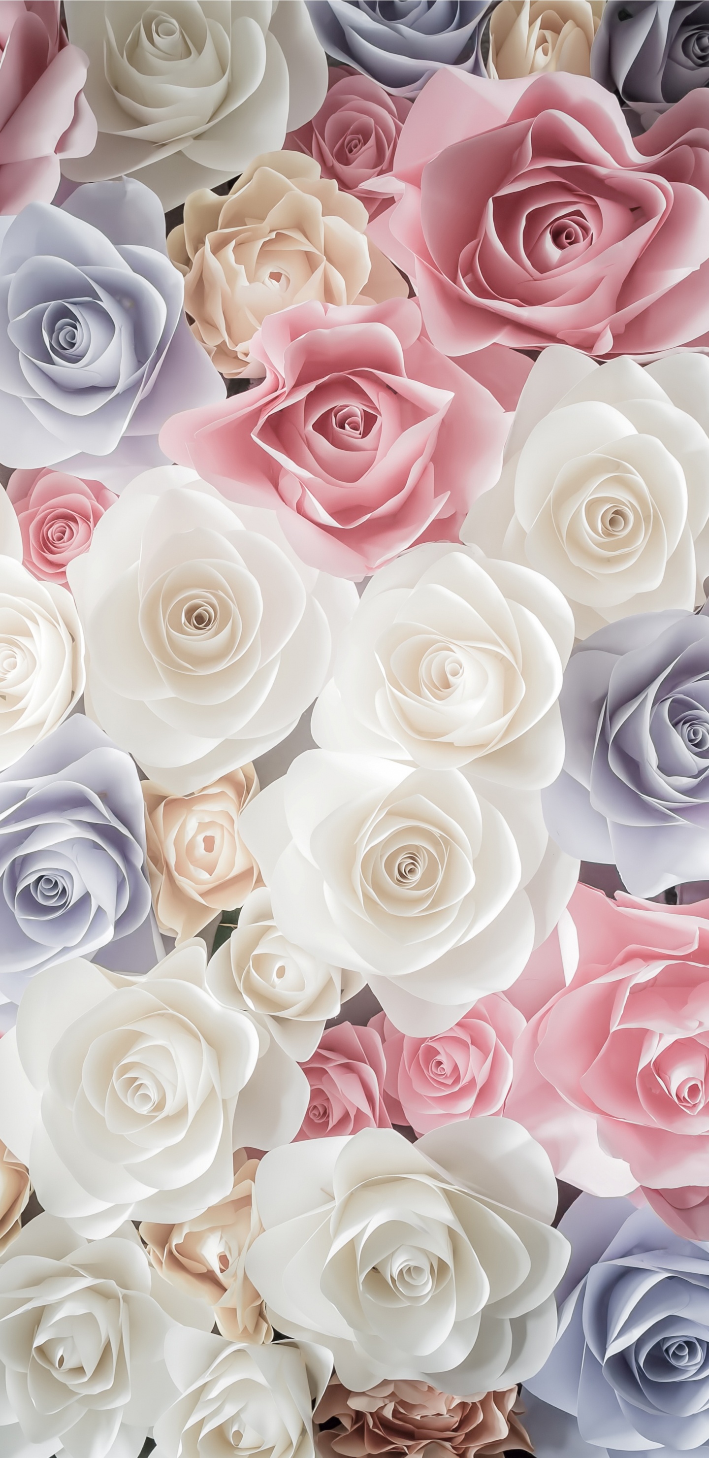 White Pink and Blue Rose Bouquet. Wallpaper in 1440x2960 Resolution