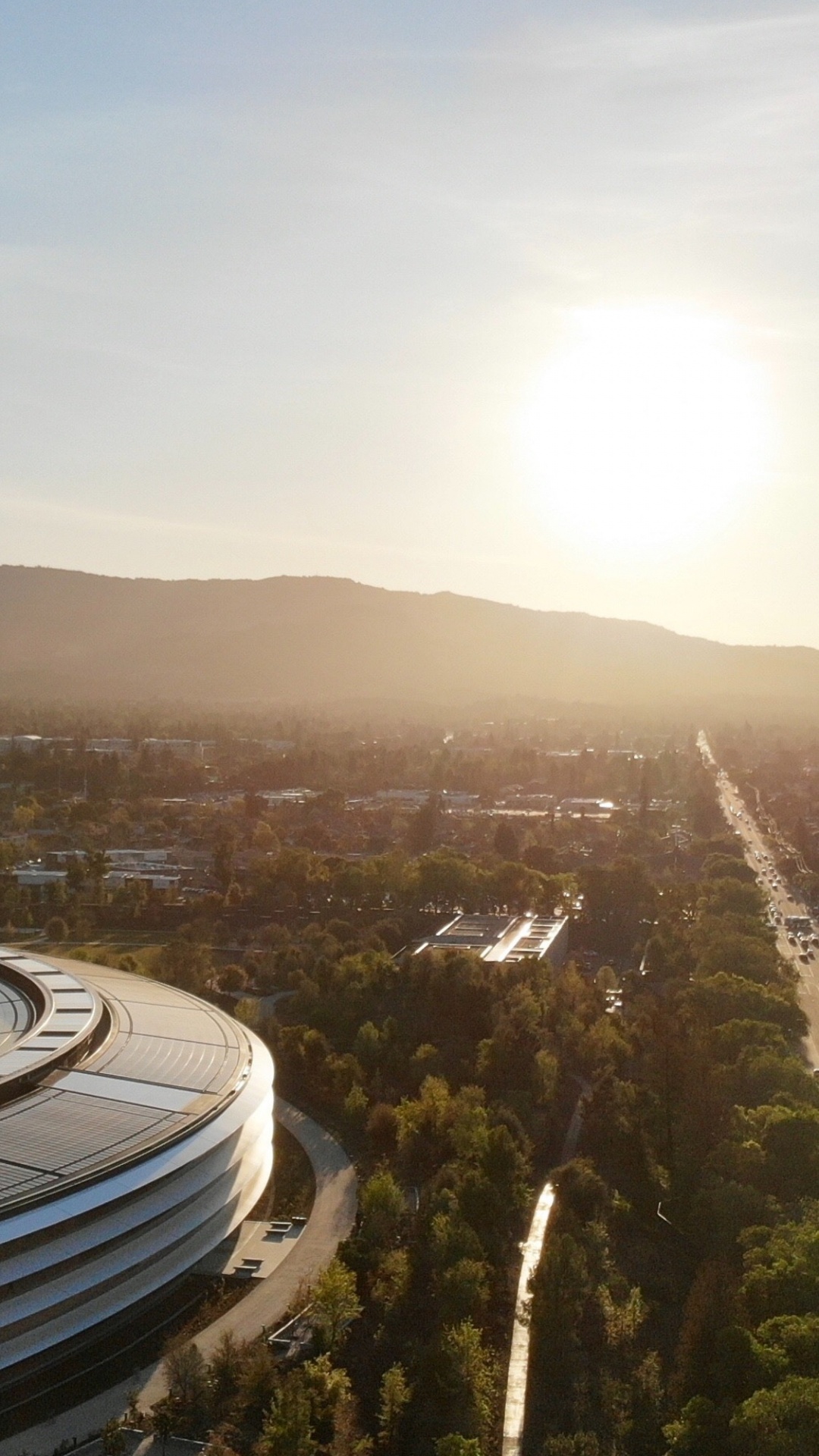 Tageszeit, Licht, Natur, Baum, Sonnenlicht. Wallpaper in 1080x1920 Resolution