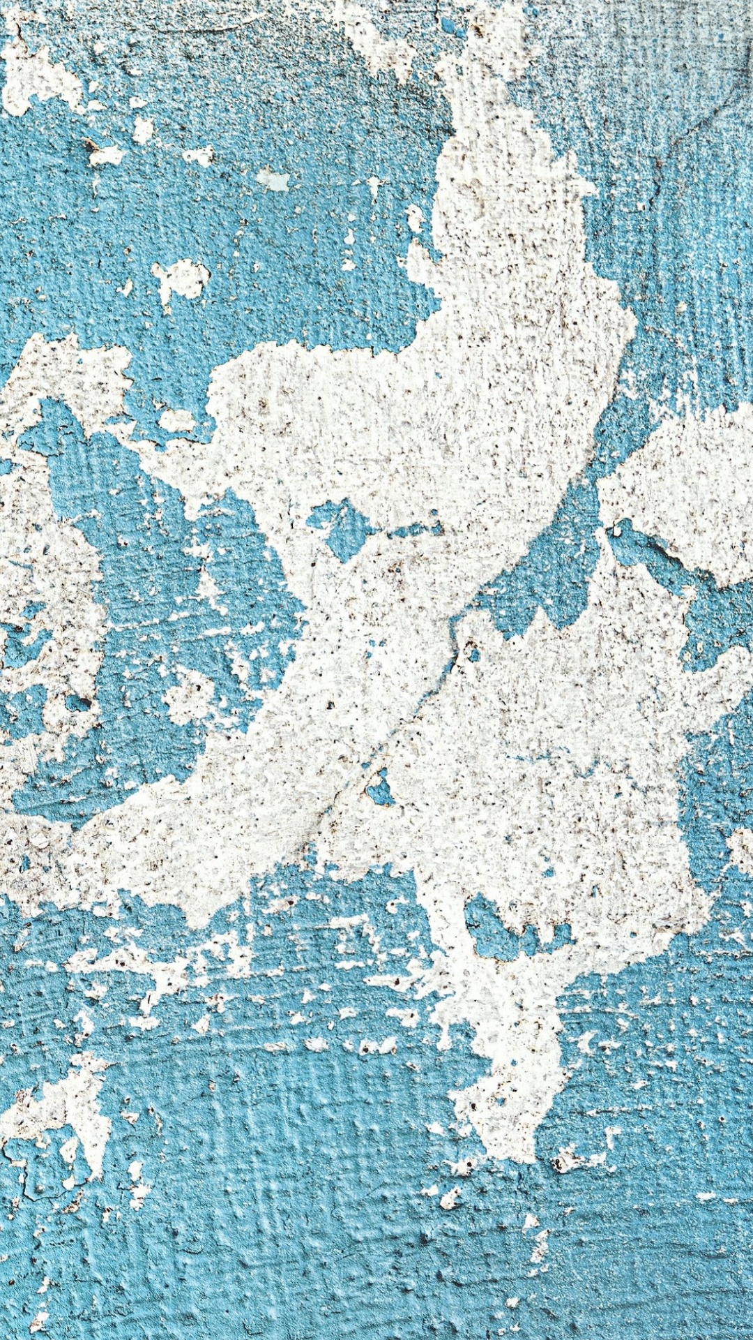 Wall, World, Blue, Plant, Azure. Wallpaper in 1080x1920 Resolution