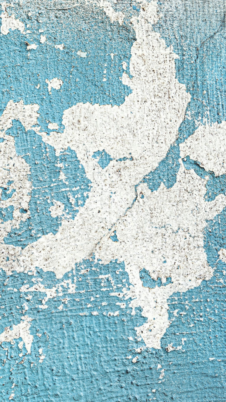Wall, World, Blue, Plant, Azure. Wallpaper in 750x1334 Resolution