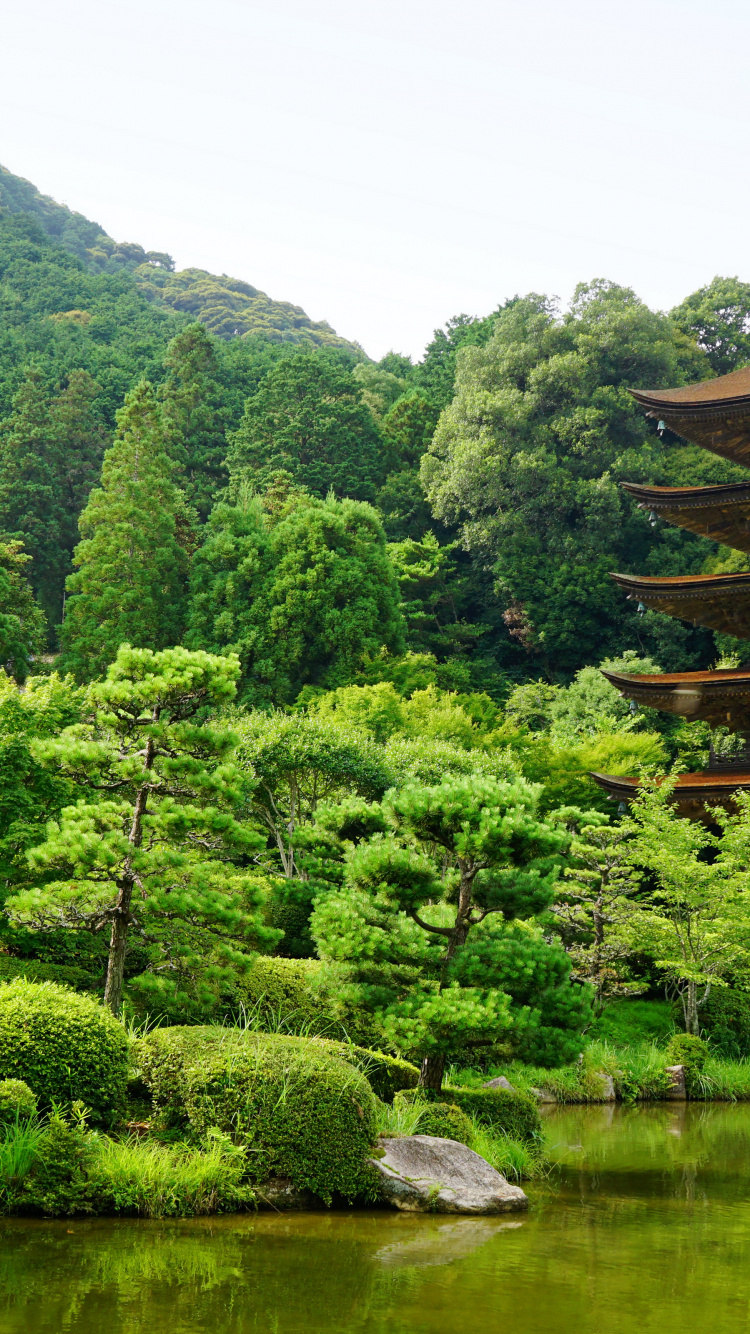 佛教寺庙, 寺庙, 植被, 性质, 自然保护区 壁纸 750x1334 允许
