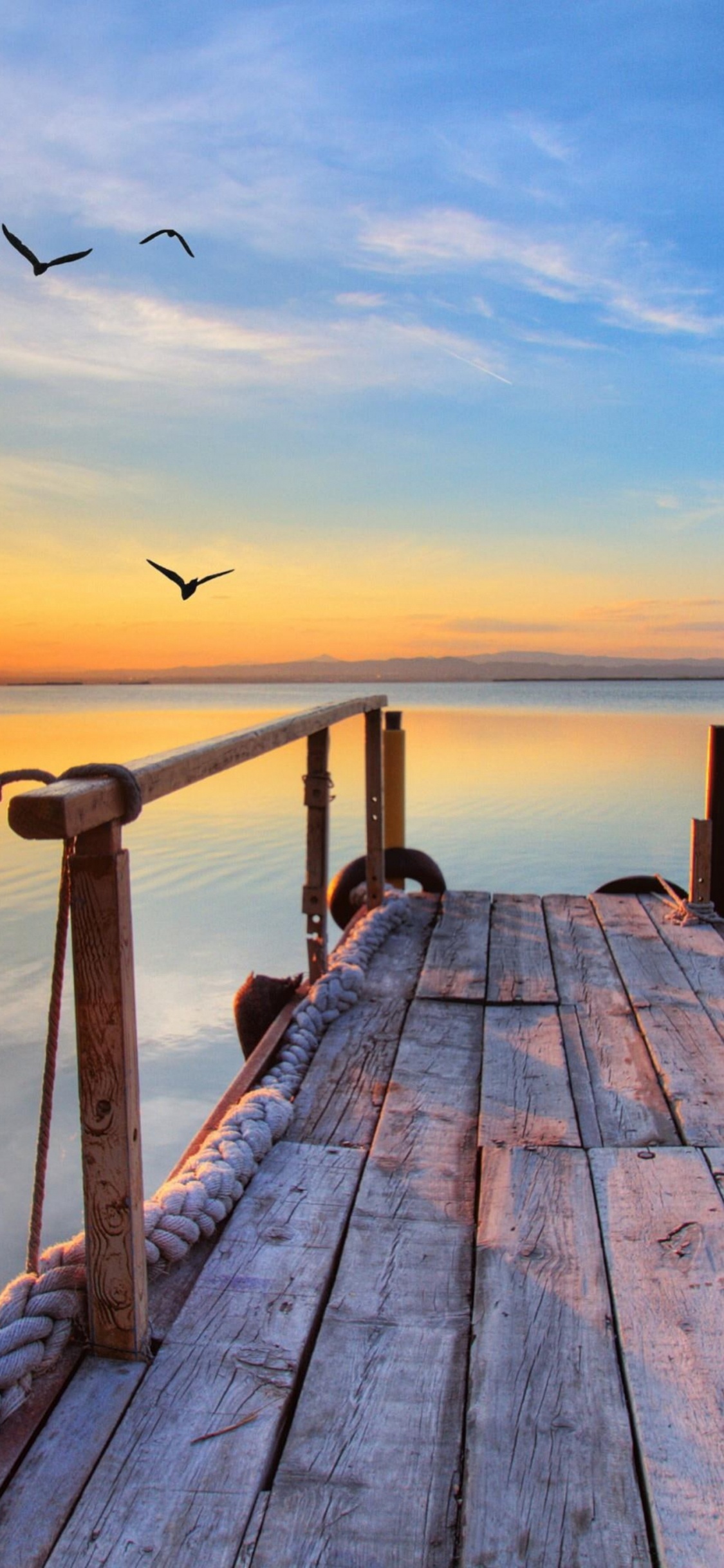 Oceanside Fishing Pier, Pier, Clevedon Pier Heritage Trust, Jetty, Water. Wallpaper in 1125x2436 Resolution