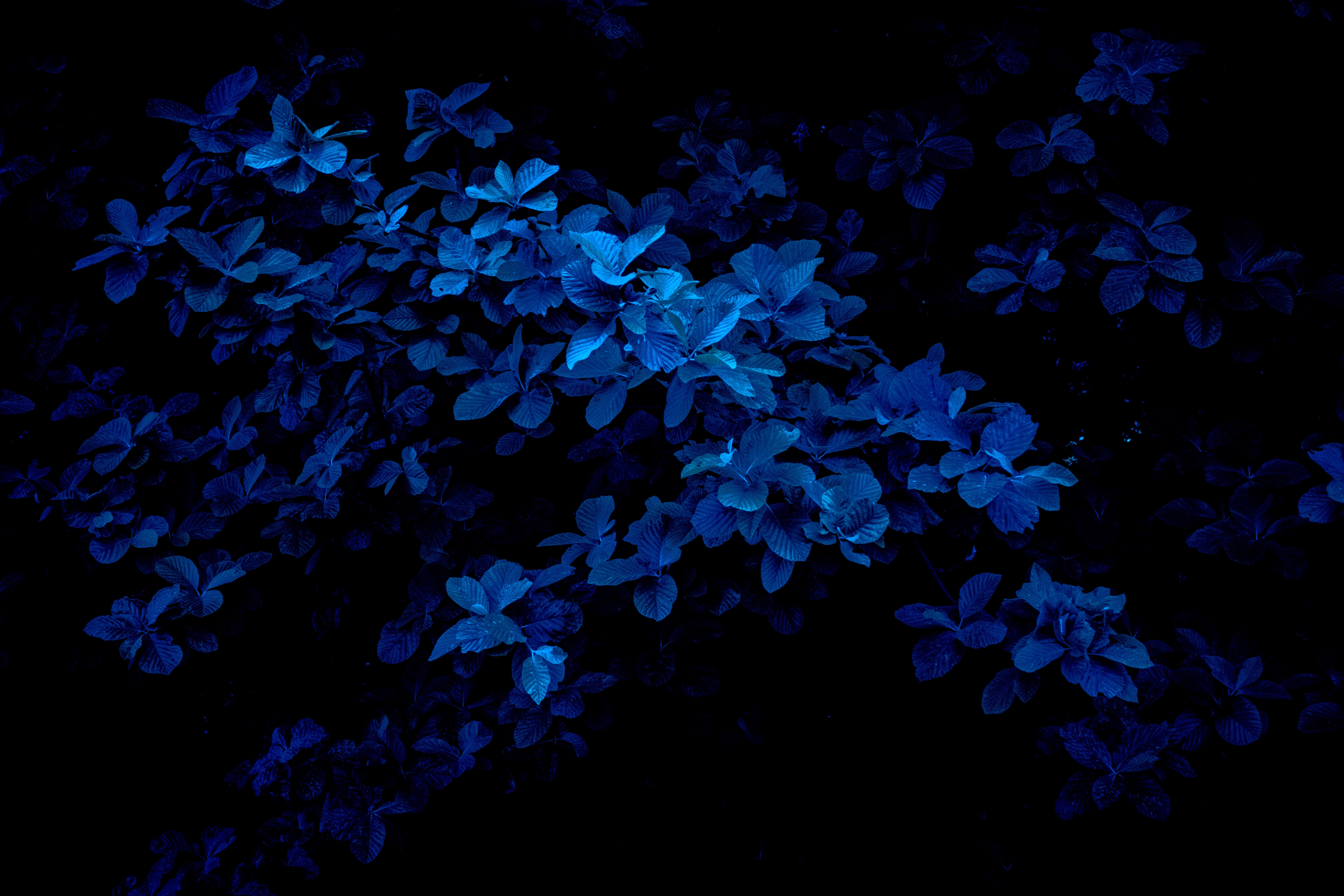 navy blue wallpaper hd