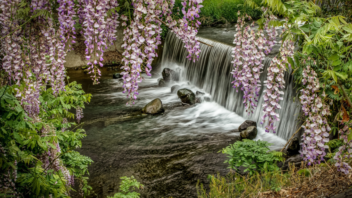 Cool Nature, Waterfall, Nature, Watercourse, Water. Wallpaper in 1366x768 Resolution