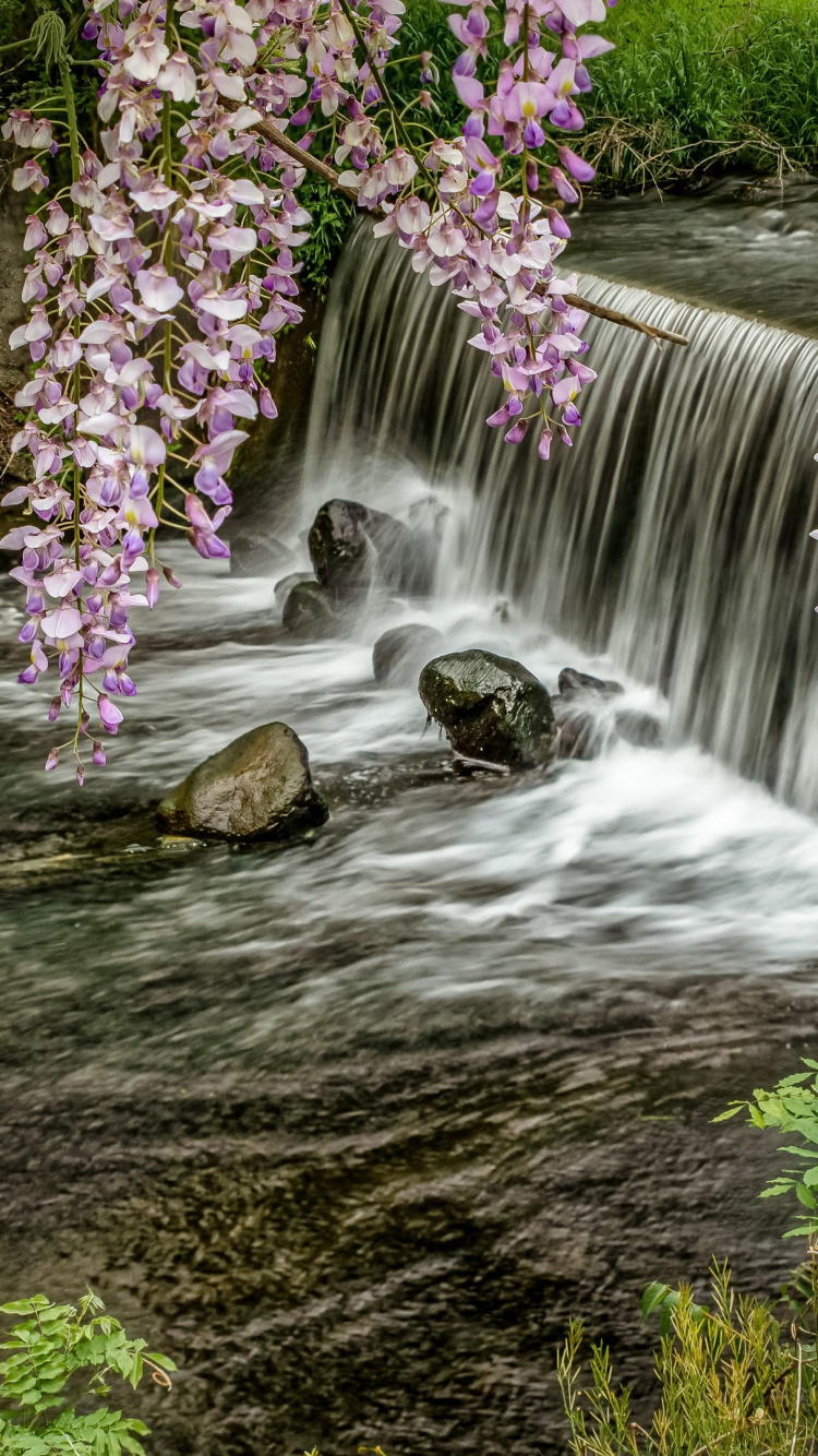 Cool Nature, Waterfall, Nature, Watercourse, Water. Wallpaper in 750x1334 Resolution