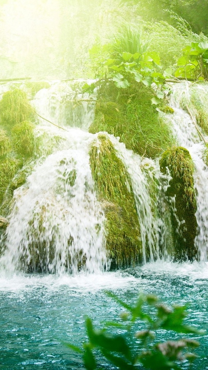 性质, 水资源, 人体内的水, 水道, 植被 壁纸 720x1280 允许