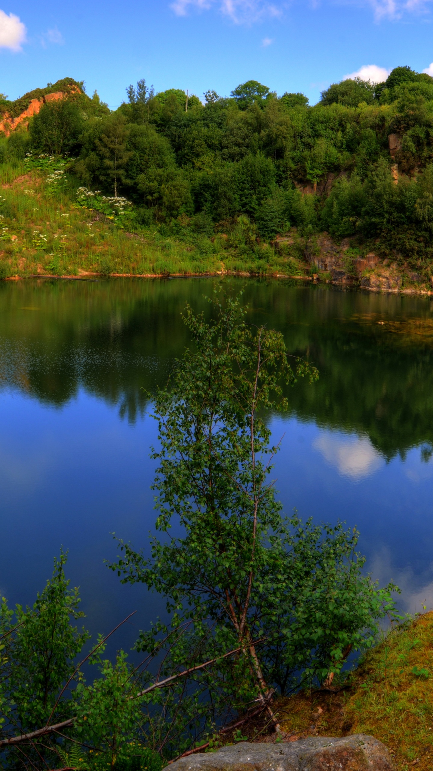 Grüne Bäume am See Unter Blauem Himmel Tagsüber. Wallpaper in 1440x2560 Resolution