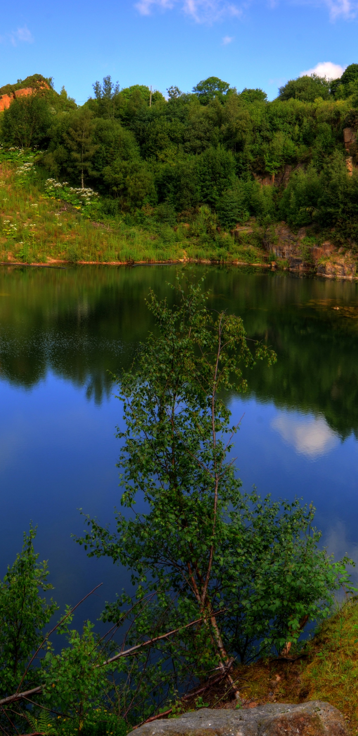 Green Trees Beside Lake Under Blue Sky During Daytime. Wallpaper in 1440x2960 Resolution