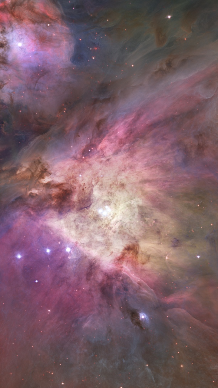 猎户座星云, 哈勃太空望远镜, Orion, 天文学, 明星 壁纸 720x1280 允许
