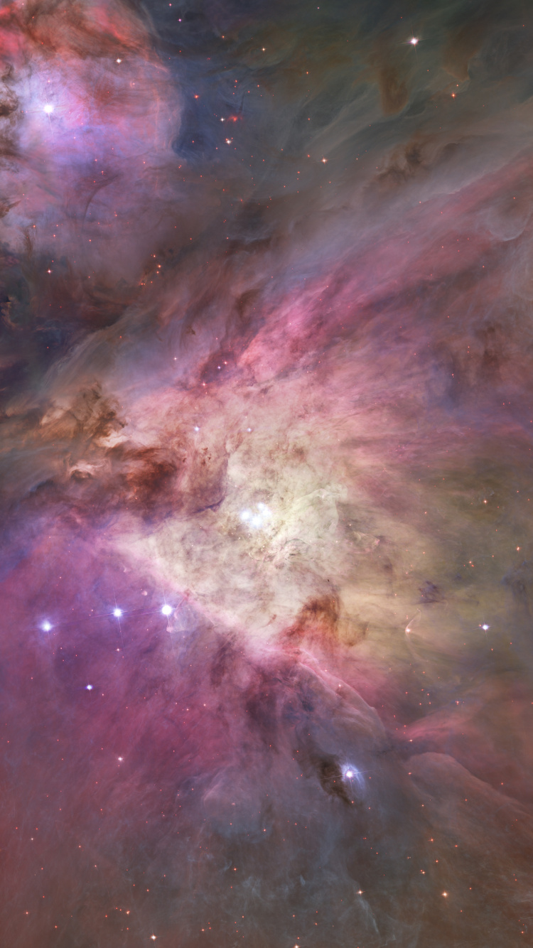 猎户座星云, 哈勃太空望远镜, Orion, 天文学, 明星 壁纸 750x1334 允许