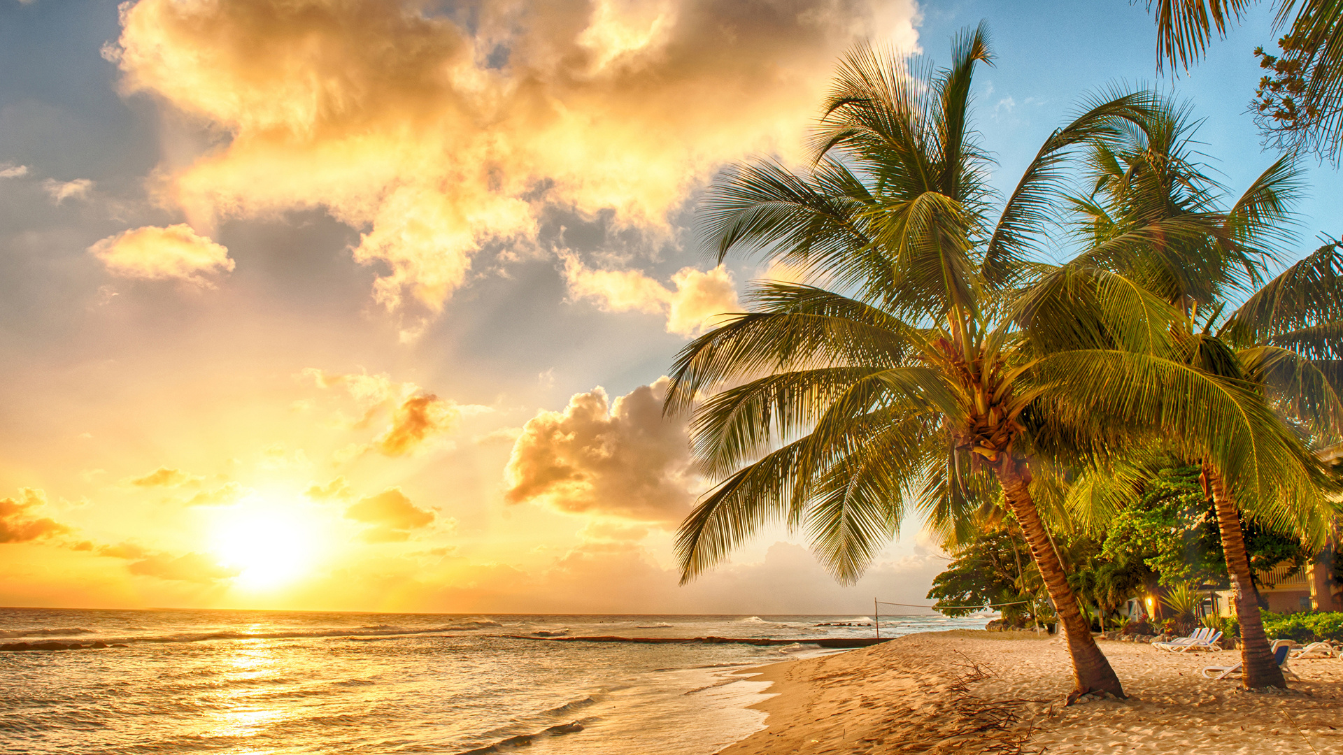 Palm Tree Near Body of Water During Daytime. Wallpaper in 1920x1080 Resolution