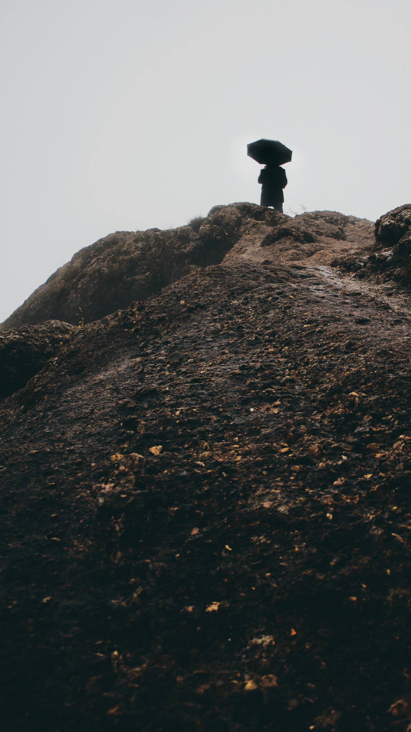 Silhouette D'homme Debout Sur Une Formation Rocheuse Pendant la Journée. Wallpaper in 1440x2560 Resolution