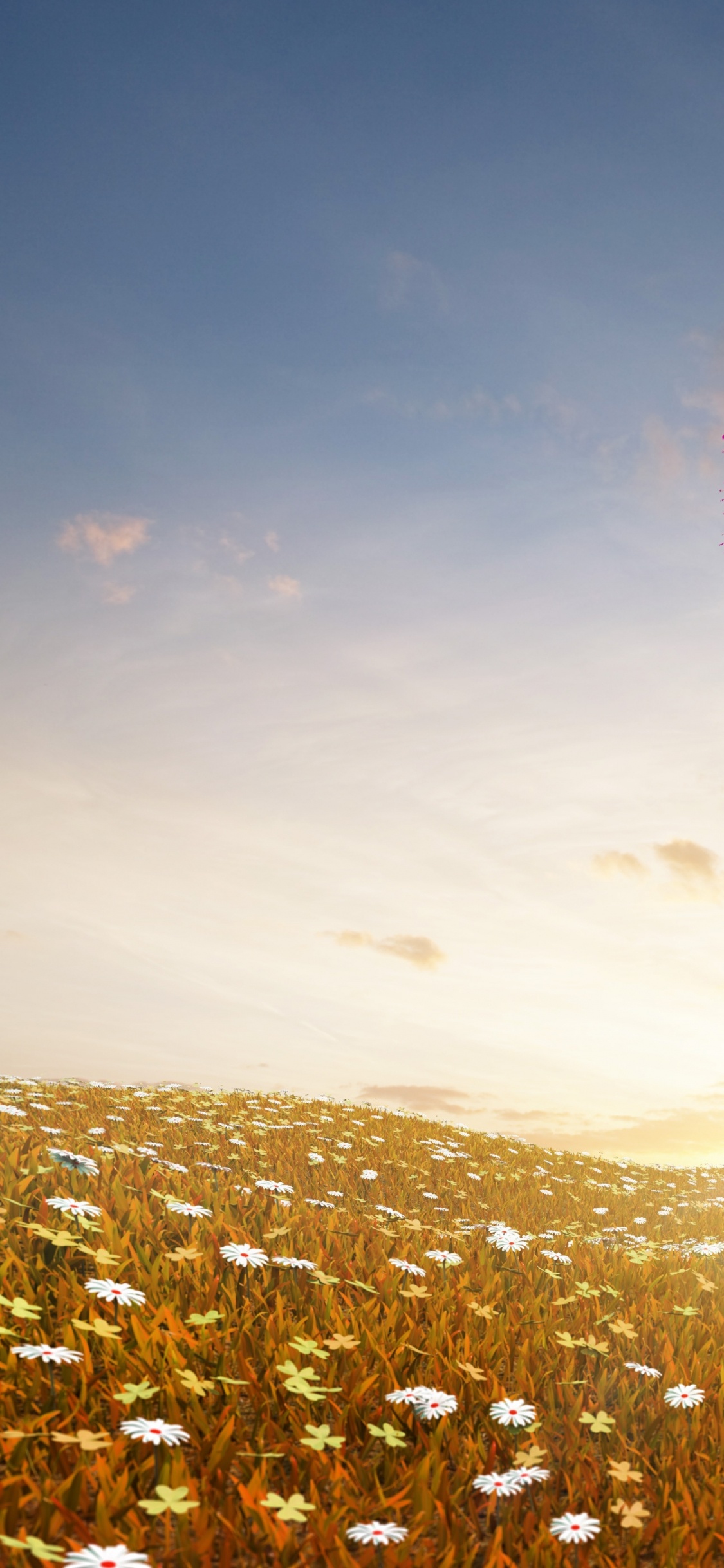 Champ de Fleurs Roses Pendant la Journée. Wallpaper in 1125x2436 Resolution