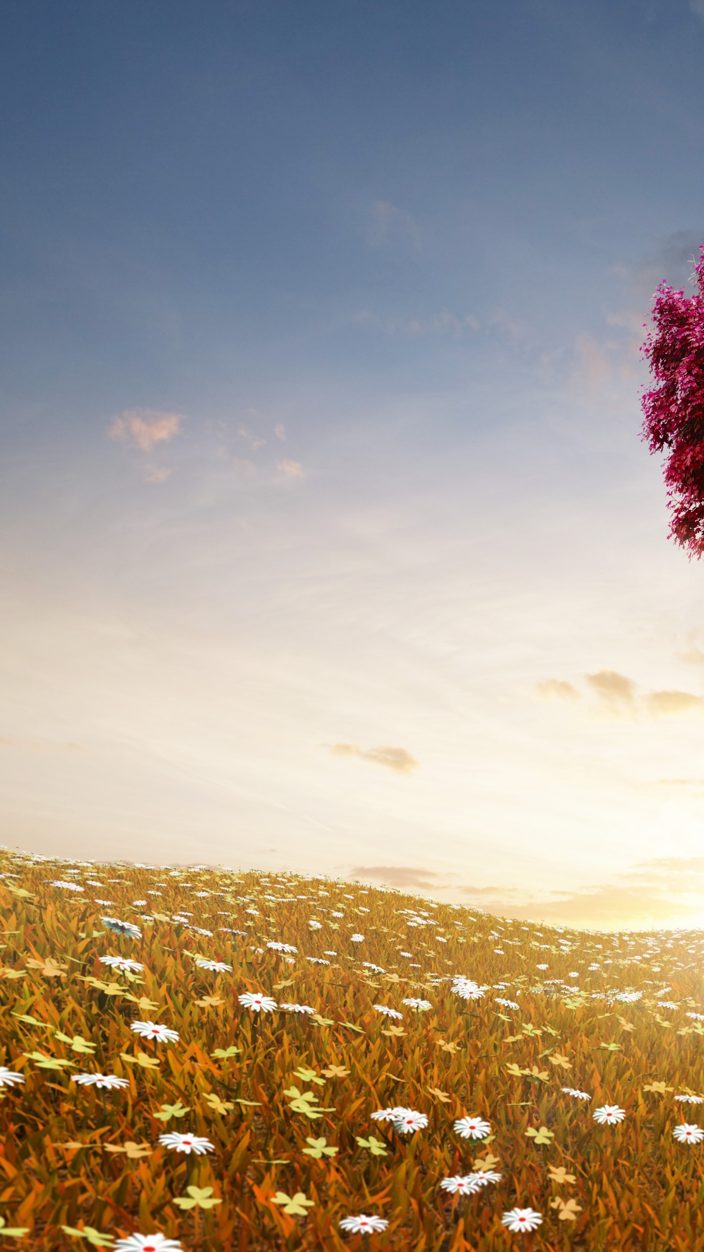 Pink Flower Field During Daytime. Wallpaper in 1440x2560 Resolution