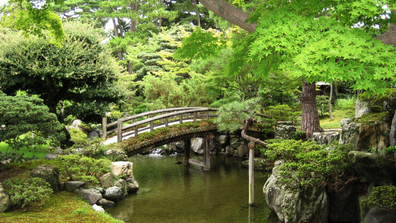 Brown Wooden Bridge Over River. Wallpaper in 1366x768 Resolution