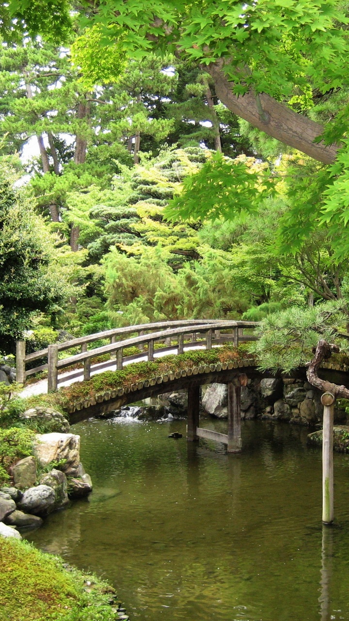 Brown Wooden Bridge Over River. Wallpaper in 720x1280 Resolution