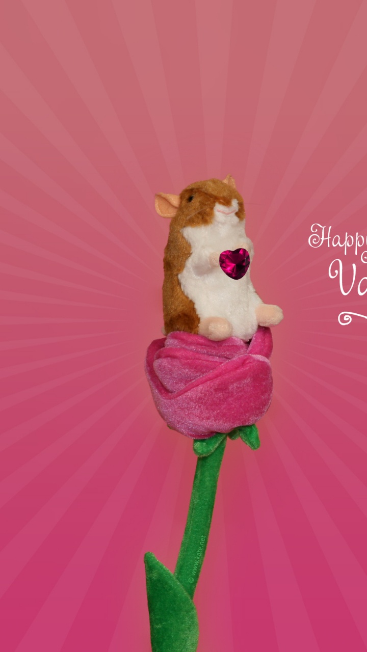 Valentines Tag, Pink, Blütenblatt, Magenta, Herzen. Wallpaper in 720x1280 Resolution