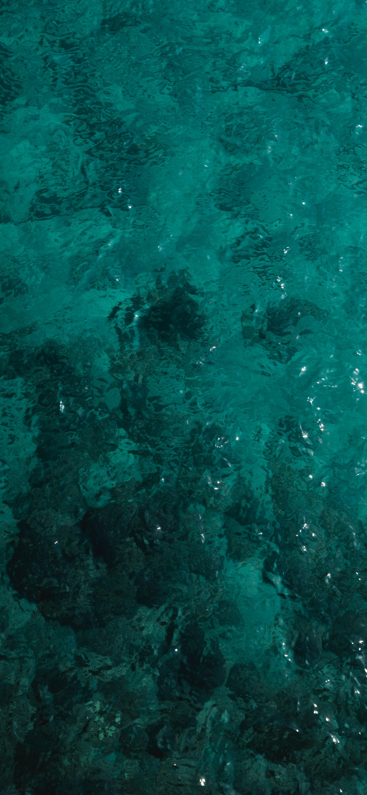 Turquoise, Green, Sarcelle, Aqua, Blue. Wallpaper in 1242x2688 Resolution