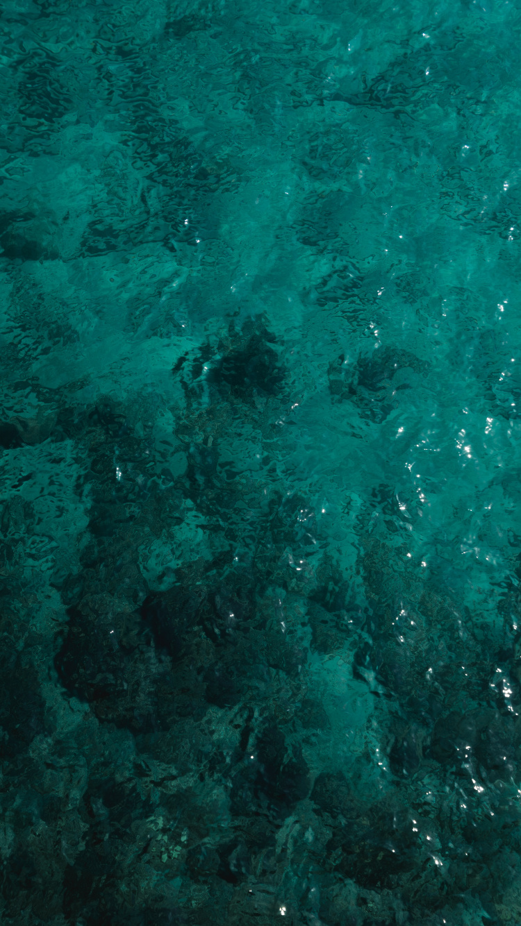 Turquesa, Verde, Teal, Aqua, Azul. Wallpaper in 750x1334 Resolution