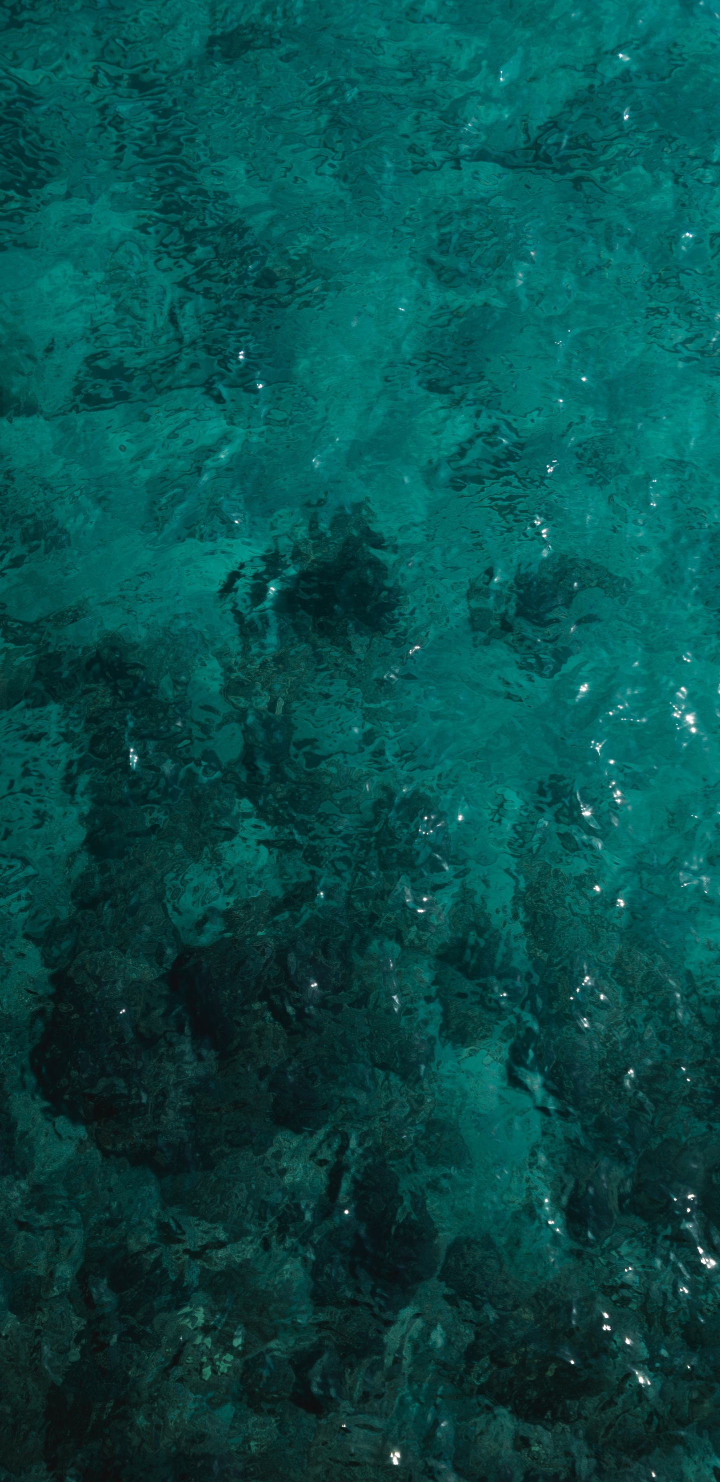 Turquoise, Green, Teal, Aqua, Blue. Wallpaper in 1440x2960 Resolution