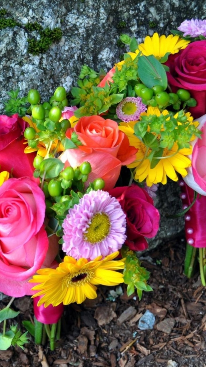 Pink and Yellow Flowers on Gray Soil. Wallpaper in 720x1280 Resolution