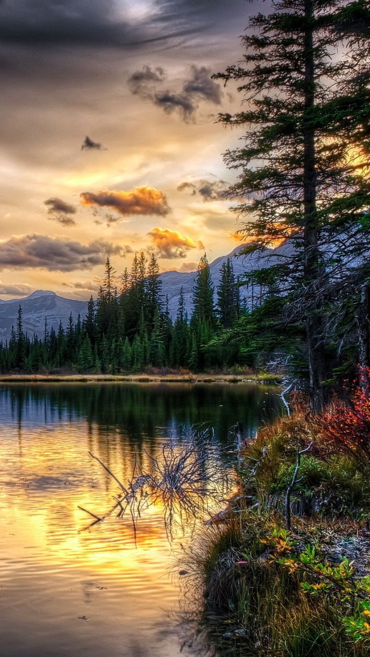 Arbres Verts à Côté D'un Plan D'eau Sous un Ciel Nuageux Pendant la Journée. Wallpaper in 720x1280 Resolution