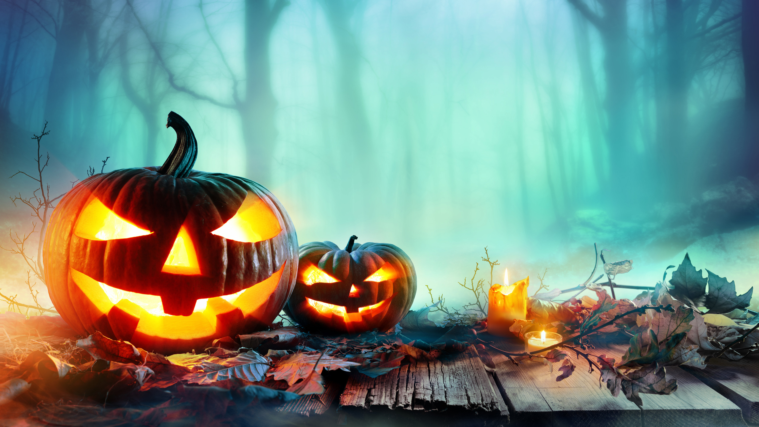 Calabaza, Cucurbita, Hitze, Halloween, Jack o Lantern. Wallpaper in 2560x1440 Resolution