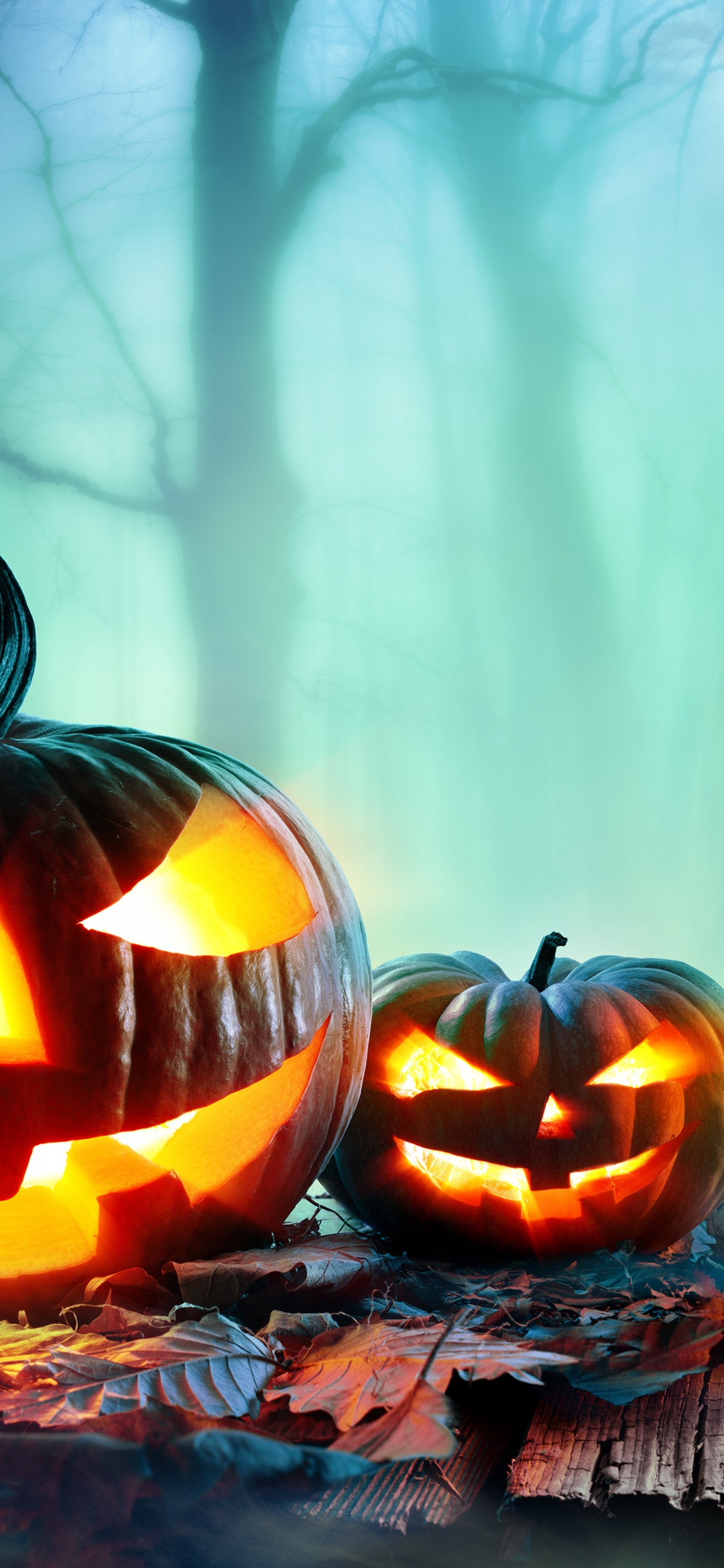 Calabaza, Pumpkin, Cucurbita, Heat, Halloween. Wallpaper in 1125x2436 Resolution