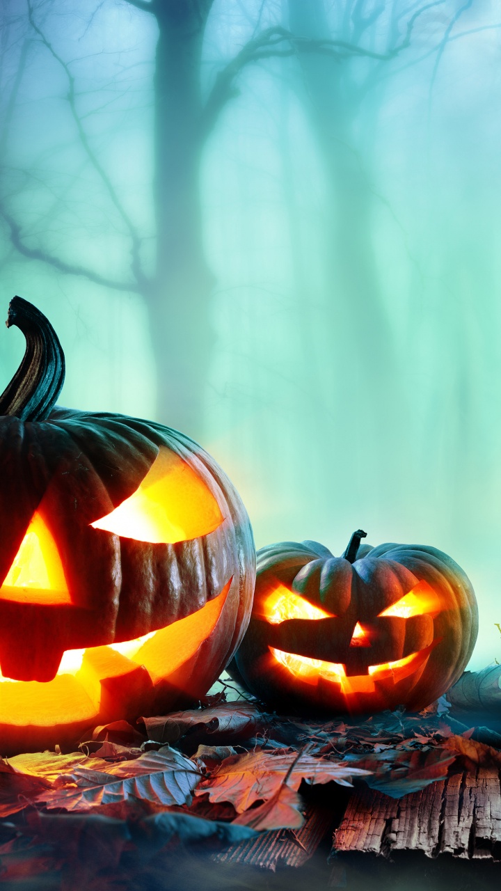 Calabaza, Pumpkin, Cucurbita, Heat, Halloween. Wallpaper in 720x1280 Resolution