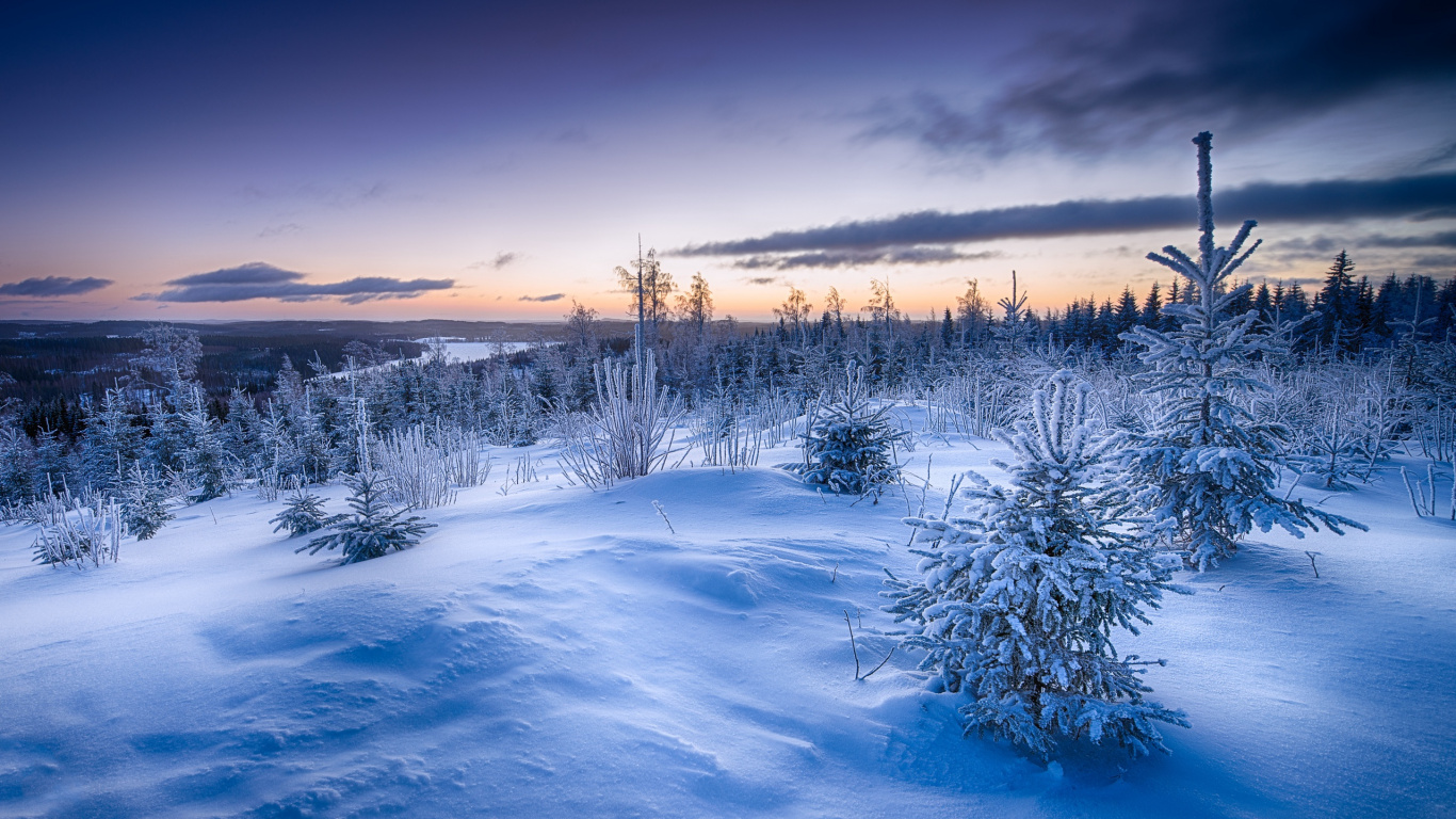 Campo Cubierto de Nieve Bajo el Cielo Nublado Durante el Día. Wallpaper in 1366x768 Resolution