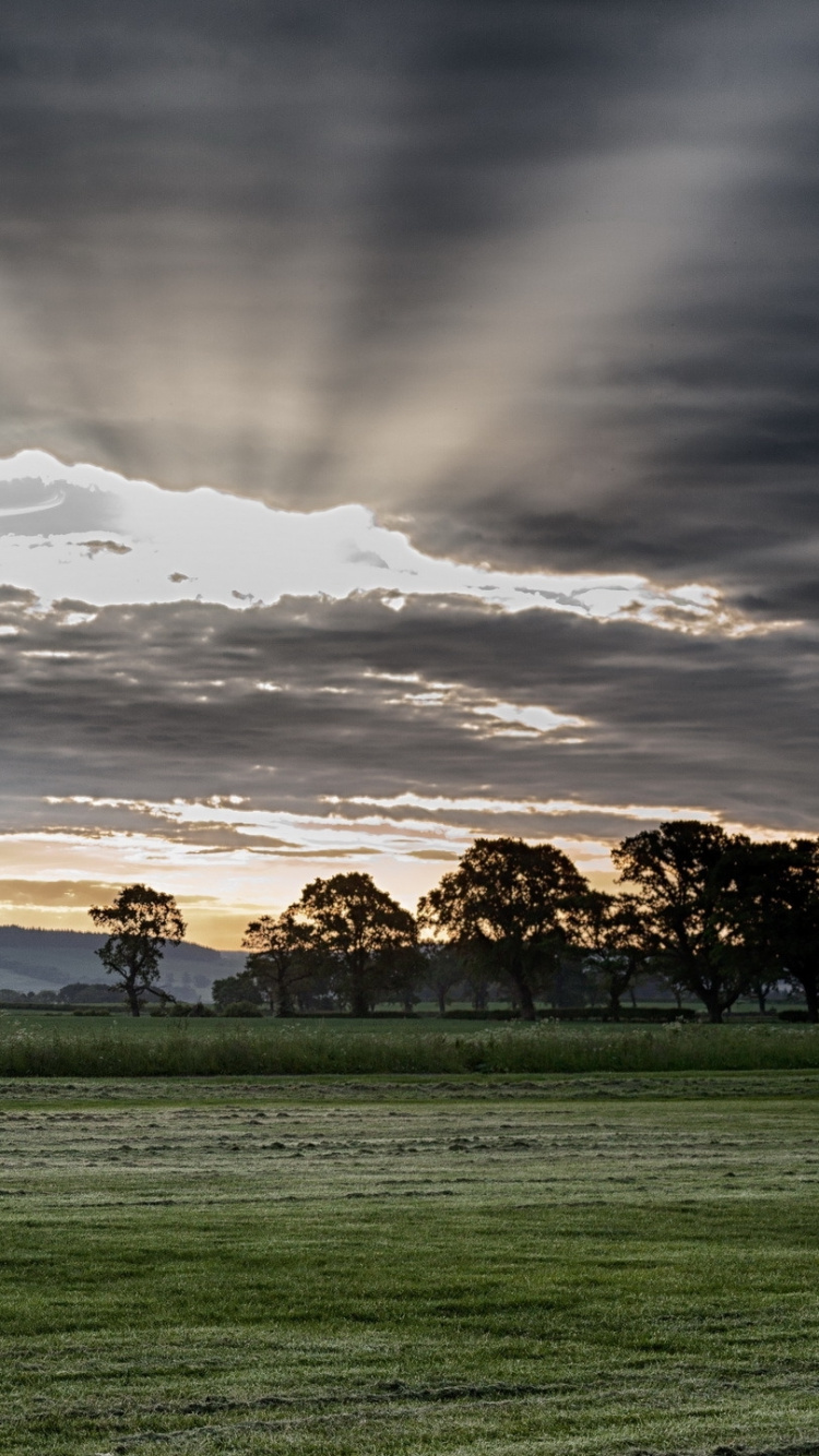 Green Grass Field With Brown Wooden Fence Under White Clouds During Daytime. Wallpaper in 750x1334 Resolution