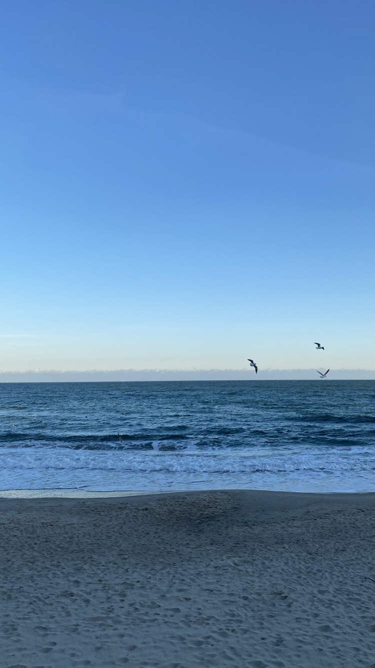 Sea, Onoville Marina Park, Onoville, Beach, Campsite. Wallpaper in 750x1334 Resolution