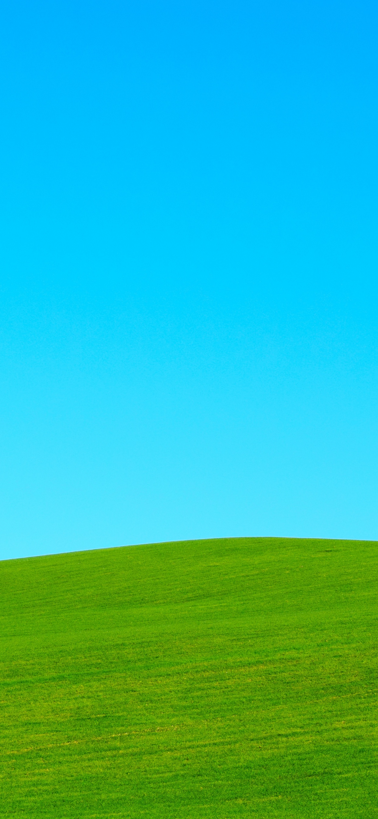 Campo de Hierba Verde Bajo un Cielo Azul Durante el Día. Wallpaper in 1242x2688 Resolution