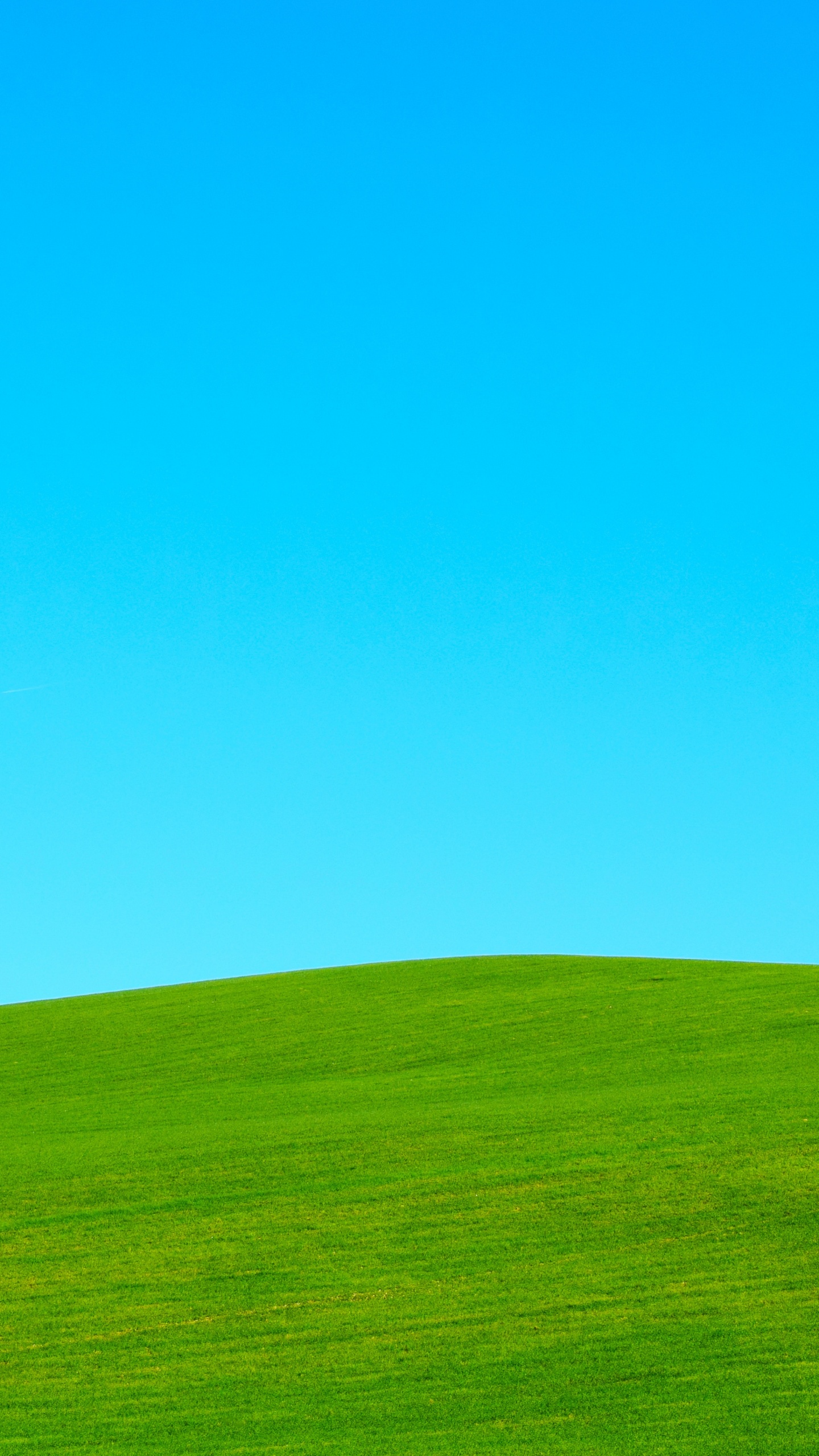 Champ D'herbe Verte Sous Ciel Bleu Pendant la Journée. Wallpaper in 1440x2560 Resolution