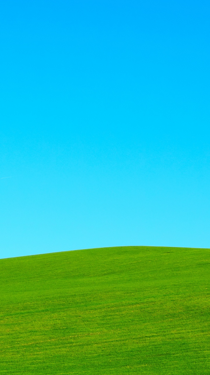 Champ D'herbe Verte Sous Ciel Bleu Pendant la Journée. Wallpaper in 720x1280 Resolution
